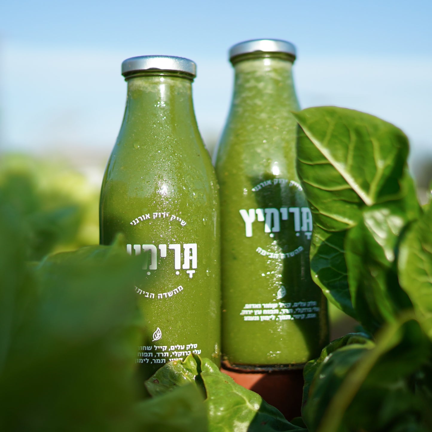 תרימיץ - בקבוק טעימה